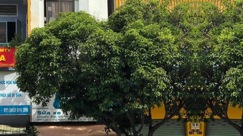 NHÀ MẶT TIỀN QUẬN 11 GIÁ DƯỚI 5 TỶ TL